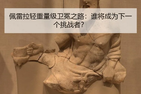 pei-lei-la-qing-zhong-liang-ji-wei-mian-zhi-lu-shui-jiang-cheng-wei-xia-yi-ge-tiao-zhan-zhe-2-356.jpg